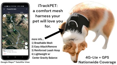 Waterproof Portable Collar Mounted Dog Trackers Pocket GPS Pet Locator Size:M